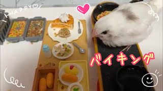 十姉妹もしょちゃんとミニチュアバイキングセッティングしたらこうなりました🤣🐥💕