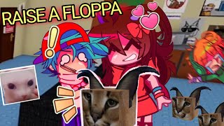 Floppita