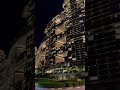 The royal Palm #viral #trending #burjkhalifa #dubai #best #shortvideo #reels #palmatlantis