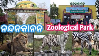 ଆଜି ବୁଲିଲୁ NandanKanan zoological park|ମଜା ଆସିଗଲା ଆଜି🤪#viral #nandankananzoologicalpark #nandankanan