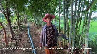 สวนไร่นาป่าตาเสริฐเกษตรผสมผสาน ไม่คิดว่าจะเป็นแบบนี้ ดีใจหลาย | บ่าวยุทธพาจ้วด