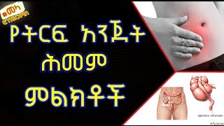 ETHIOPIA -  Emergency Signs and Symptoms of Appendicitis in Amharic