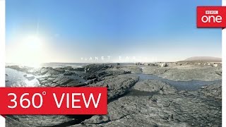 Galapagos Islands in 360° - Planet Earth II: Islands - BBC One