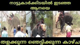 ELEPHANT ATTACK IN KERALA| LATEST ELEPHANT ATTACK COMPILATION| ഇടഞ്ഞ ആനയെ തളക്കുന്ന കാഴ്ച