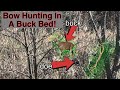 Hunting A Buck Bed In Rut! // Public Land Archery Deer Hunting // #hunting #deer #outdoors #archery