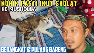 Kucing Sholehah❗NONIK Tiap Hari Ikut Sholat Magrib Ke Musholla 😘🥰🤲