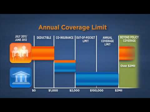 How Health Insurance Works How Health Insurance Works