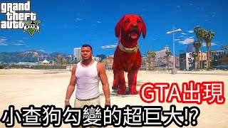 【Kim阿金】GTA5出現 小查狗勾變得超巨大!?《GTA 5 Mods》