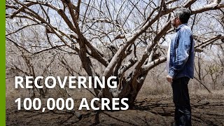 Protecting the Brazilian Caatinga from desertification