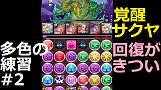 [パズドラ]多色の練習#2覚醒サクヤでヨルムンガンド地獄級[喋りながらパズル出来ませんｗ]