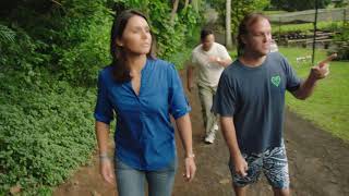 B-ROLL: Sierra Club Endorses Hawaii Representative Tulsi Gabbard for Congress