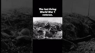 Longest living world war I veteran #history #historyshorts #worldwar1 #torty #tortoise #australia