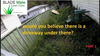 FREE yard cleanup for a person in need - Part 1