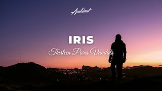 Thirteen Paris Vandals - Iris [ambient downtempo chill]