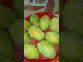 Mango 🤩😋#shorts #video #food #song#music