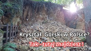 Kryształ górski w Polsce łatwy do znalezienia. Strzelin - Krzywina - Jedłowa. #minerały