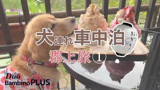 ゴールデンレトリバーの茶々ちゃんと岐阜県郡上旅♪コンパクトキャンピングカー「リゾートバンビーノプラス」での犬連れ車中泊第1弾