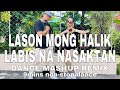 LASON MONG HALIK l LABIS NA NASAKTAN l Dance Mashup Remix l Dj Johnrey l Dj Rowel Remix