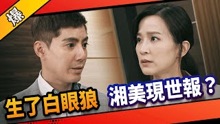 《八點檔搶先爆》市井豪門 EP43 生了白眼狼 湘美現世報？