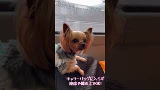 「TOKYO DOG TRANSPORT」愛犬専用バス無料送迎サービス @wanwantravel @inumo3946