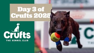 That's How to do Super Saturday at Crufts 😍