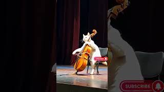 大提琴高手 #ai #大提琴  #music #funny #貓 #cat