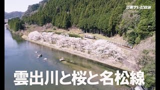 三重の桜　空から眺める薄紅色➁　雲出川と桜と名松線