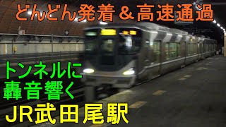 JR武田尾駅🚃どんどん電車が発着＆高速通過！●半分がトンネルの駅／宝塚線・丹波路快速 等【JR西日本】