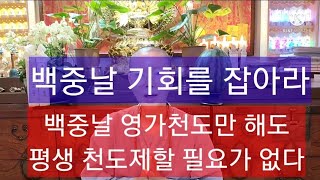 돈안들이고 백중날천도재로 건강 사랑 재물 한번에잡을수있는 절호에찬스