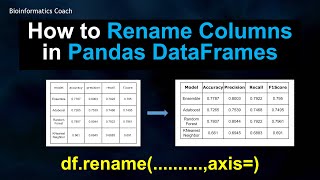 Pandas Tutorial- How to Rename Columns in Pandas DataFrames