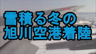 【機内からの風景】JAL 雪積る冬の旭川空港着陸