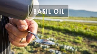 Basil Oil