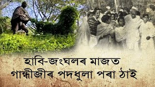 হিমন্ত বিশ্বৰ প্ৰচেষ্টাত নিৰ্মিত শুৱালকুছিৰ গান্ধী উদ্যানত এতিয়া শিয়ালৰ বাহ