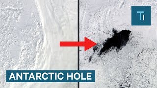 A mysterious 'hole' has reappeared in the middle of Antarctica
