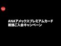 【最大20万マイル相当】anaアメックス入会キャンペーン 比較！anaアメックスプレミアム、anaアメックスゴールド、anaアメックスカード おすすめanaカード