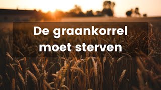 Waarom zegt Jezus dat de graankorrel moet sterven? - Leven met Jezus