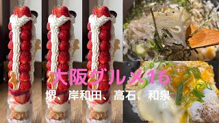 【大阪グルメ16　南大阪編】グルメYou tuberが岸和田市、堺市、高石市、和泉市にやってきた！ガツガツご飯を食べて、見たことないパフェをいただく！私のお腹はアメイジングと叫んだ。