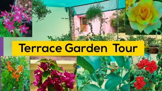 My Terrace garden Tour in tamil/   Beautiful Maadi thottam  Tour / என் மாடித்தோட்டம்/Balcony garden