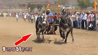 रामदास राठौर बेतुल वाले बैल | मोहगांव सौंसर पट | second pat mohagaon sausar jila chhindwara