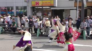 2017/5/21 よっしゃ来い‼︎ CHOROKUまつり Rｅｙ華繚乱