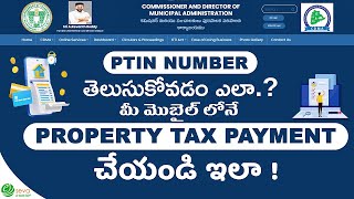 Property Tax Payment Online