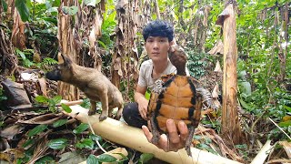 A Tortoise In Danger, Building Life, Episode 105