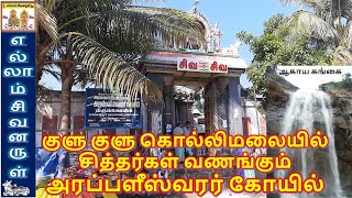 கொல்லிமலை அறப்பளீஸ்வரர் கோயில் | சித்தர்கள் மலை | Arappaleeswarar Temple | Kolli hills