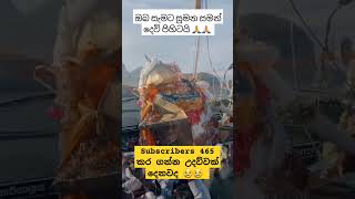 ඔබ සැමට සුමන සමන් දෙවි පිහිටයි  | Travel with vidusha | 🙏🙏🙏 | #viralvideo | #viralshorts