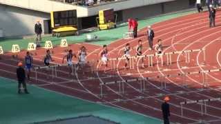 2013年 兵庫県郡市区対抗陸上競技大会 高校以上男子110mH決勝