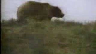 Bear in the Woods - Ronald Reagan 1984 Presidential Campaign Ad