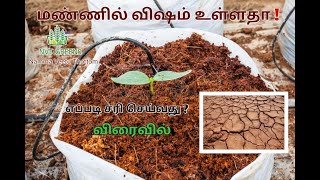 மண்ணில் விஷம் உள்ளதா எப்படி சரி செய்வது விரைவில் |Is there poison in the soil How to fix coming soon