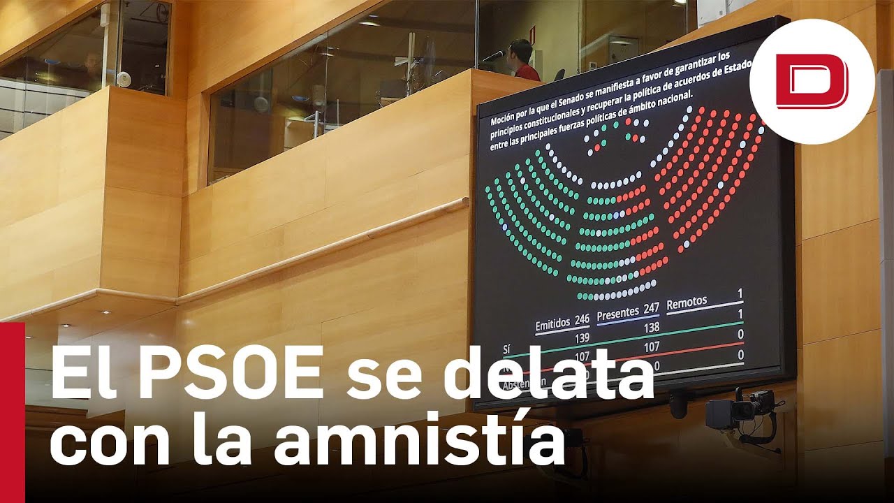 El PSOE Se Delata Al Rechazar La Moción Contra La Amnistía En El Senado ...