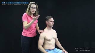 Shoulder: Acromioclavicular testing (cranial/caudal) in sitting