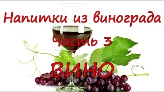 Напитки из винограда. Часть 3. Вино.